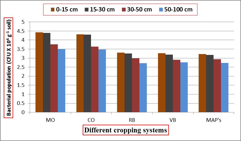 This may be due to the fact that soil enzymatic activity was generally higher at the surface soil owing to higher organic matter and availability of more nutrients by continuous addition of organic