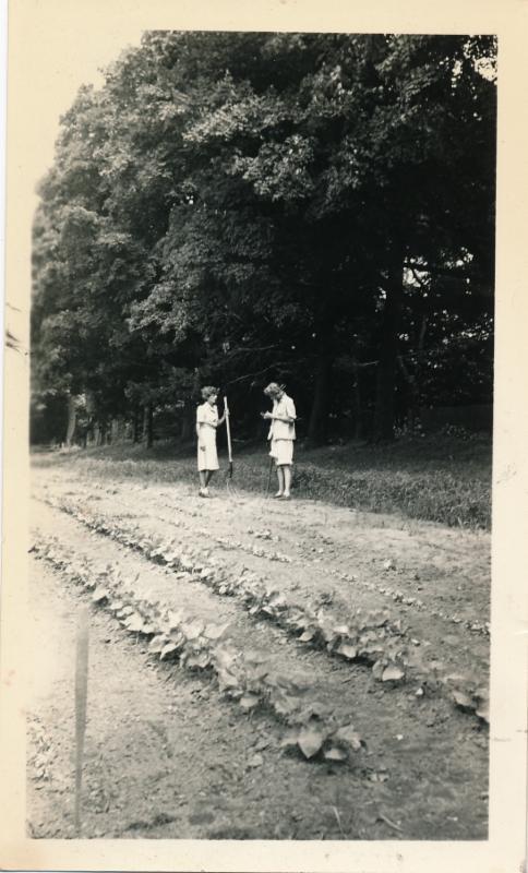 the war and also where our men in the service were. Georgia Mary Whitman and Kay Stoddart working the rows. Kay's daughters Barbara and Peggy also worked in the Victory Garden.