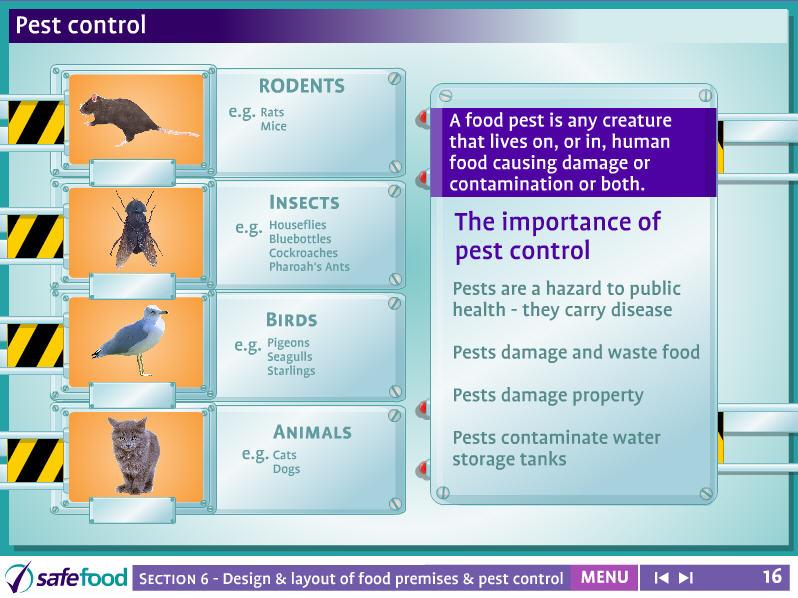 screen 16 Pest control This screen depicts the importance of pest control and some common pests. Explain the most common pests as set out on the screen.