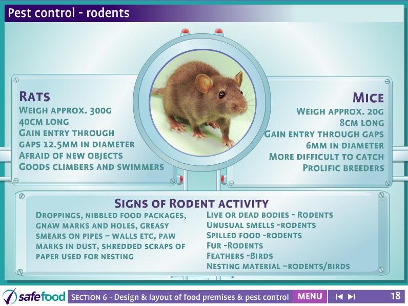 screen 18 Pest control rodents This screen show information on rats and mice. Discuss screen with the students. Ask the students if they have had any experience of rodents in the home.