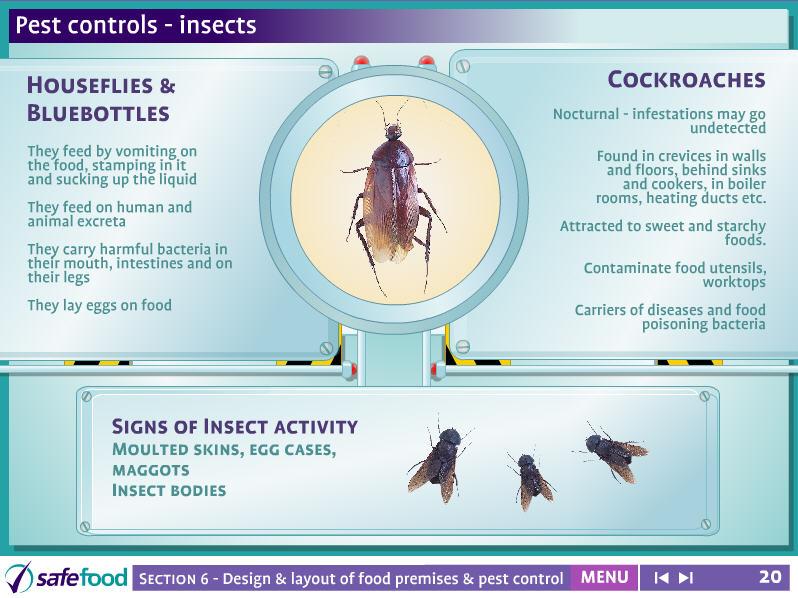 screen 20 Pest controls - insects The screen shows information on insects Ask the students how they keep flies from their own homes during the summer months.