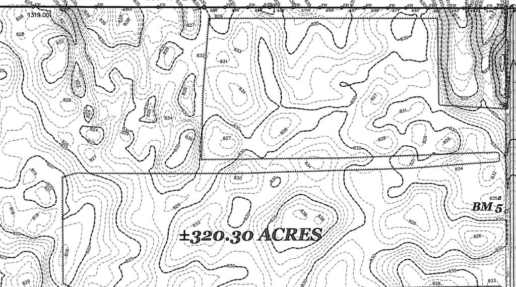 Topographic Lows Preserved for Bioswales Incorporate