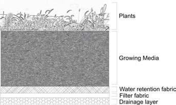 What is a vegetated roof? A roof covered with soil and plants. Built to support weight of water, soil, and plants.