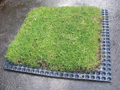 MODULAR GREEN ROOF SYSTEMS These module trays are ideal for the smaller green roof or non professional installer, as they come as complete readygrown units and are very simple and easy to fix.