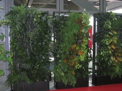 LIVING WALLS USING PRO-GRASS Some green walls can be installed into groundworks using Pro-grass biotextile as a far