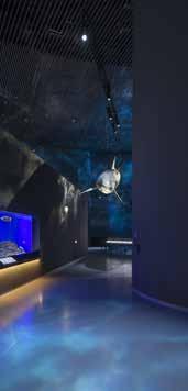 The Blue Planet, Denmark The Blue Planet is the largest aquarium in Northern Europe and is fast becoming Denmark s architectural landmark.
