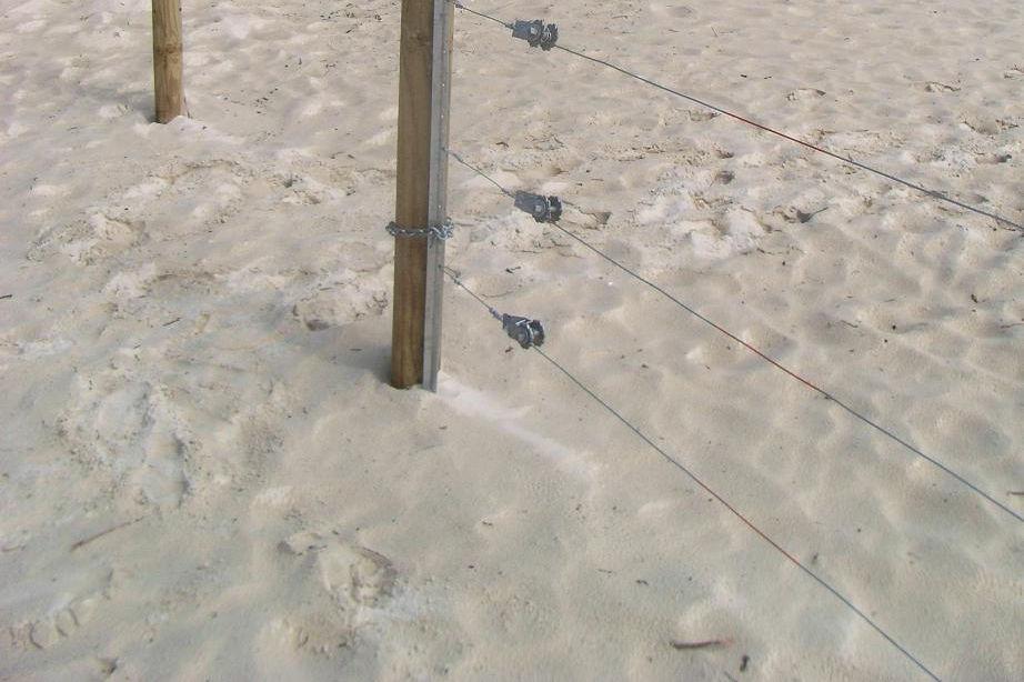 The alignment of the fence is chosen with the posts located on an existing rise or dune formation with the intention of commencing sand reclamation and dune