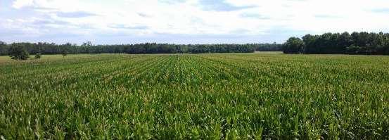 Rural Definition Rural areas should support the preservation of farmland and prime agricultural soils,