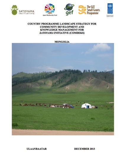 Baseline Assessment and Country Programme Landscape Strategy Baseline Assessment: Participants jointly identify principal social and environmental challenges in the target landscape Landscape