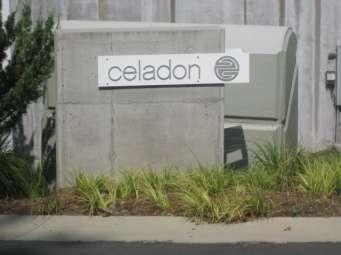 Case Study: Celadon Charlotte, NC