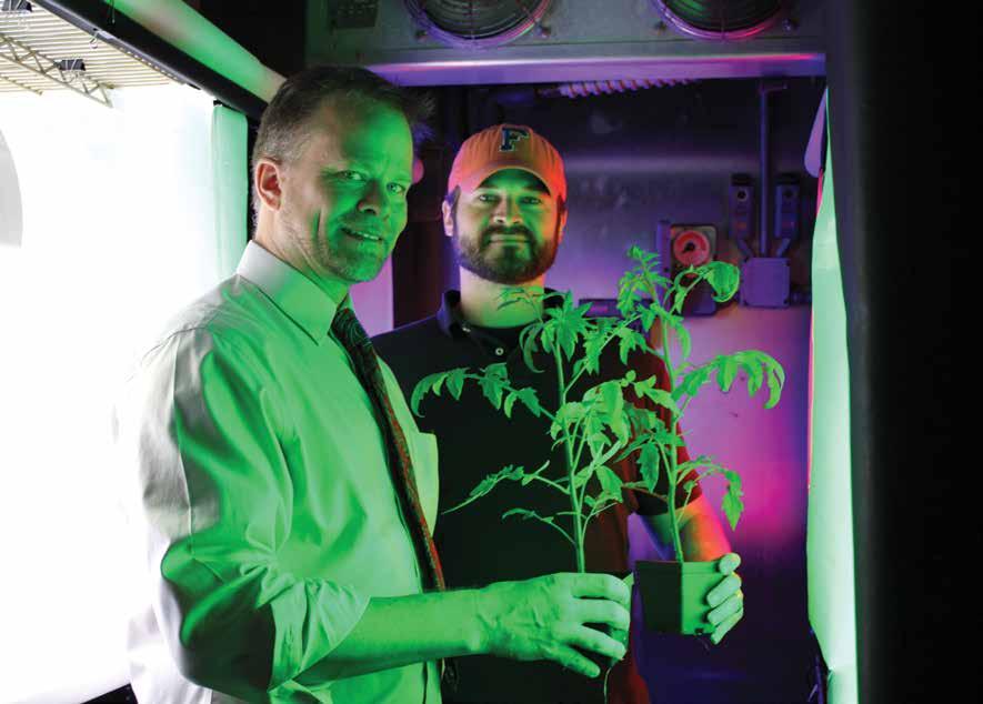 University of Florida researchers Kevin Folta (left) and Thomas Colquhoun are studying the effects LED lights have on the state s high value crops, including strawberries and tomatoes.