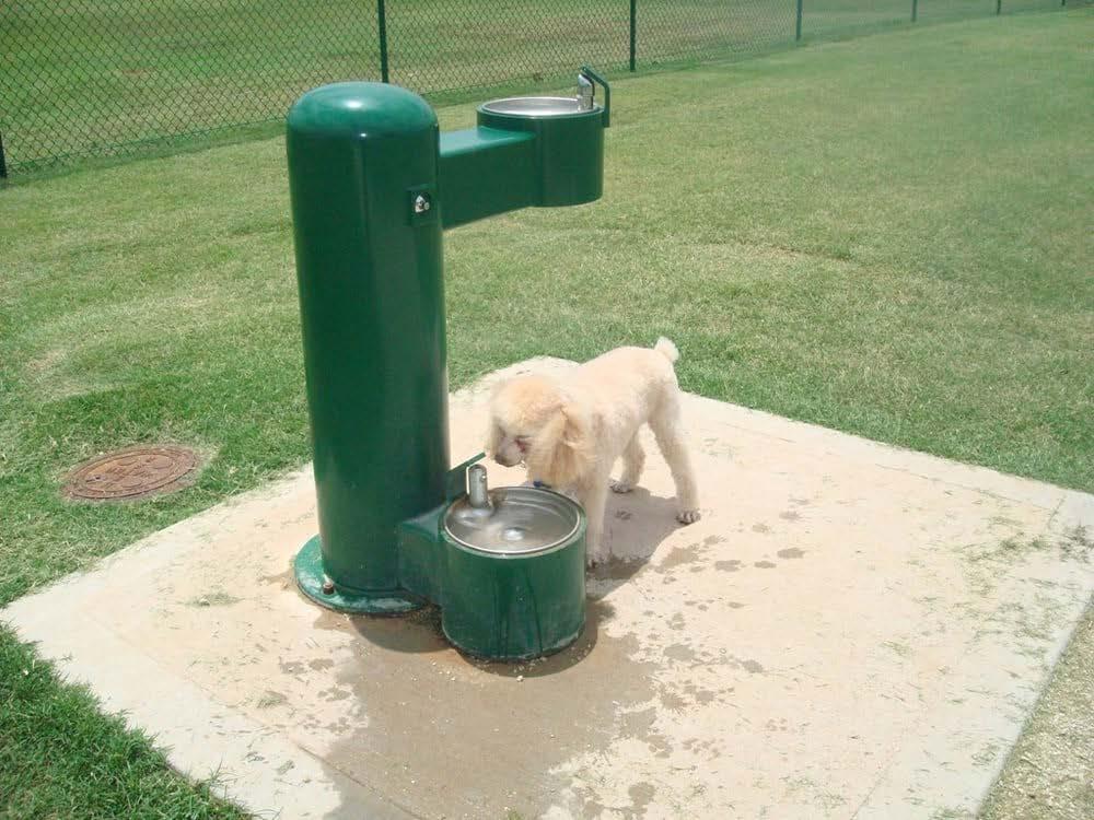 DESIGN CONCEPTS Amenities Drinking Fountain