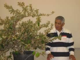 BSD NEWSLETTER PAGE 6 April Program in Review Guest Artist Ray Hernandez We had the pleasure of seeing Ray transform what appeared to be an overgrown shrub into the beginning