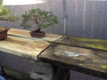 BSD NEWSLETTER PAGE 8 May Bonsai (continued) cool will work, the requirement being to prevent the sun from getting to them. An inch or more of air space around the pot is desirable.
