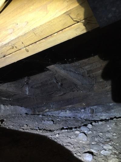 Inadequate ventilation is a conducive condition for wood decay and mold growth, recommend conditions are corrected 5.