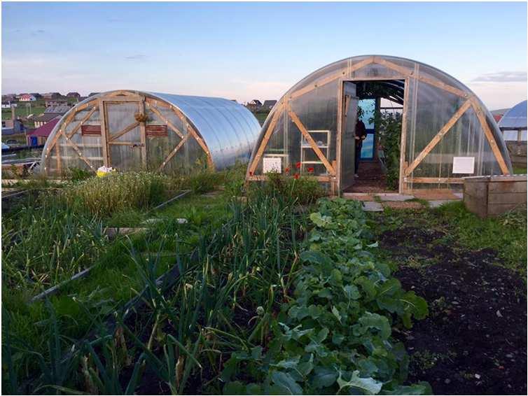 NHS Shetland: Recognising Nature Improves Health NHS Shetland has worked with the local authority to help community groups identify and raise awareness of the health benefits of allotments which