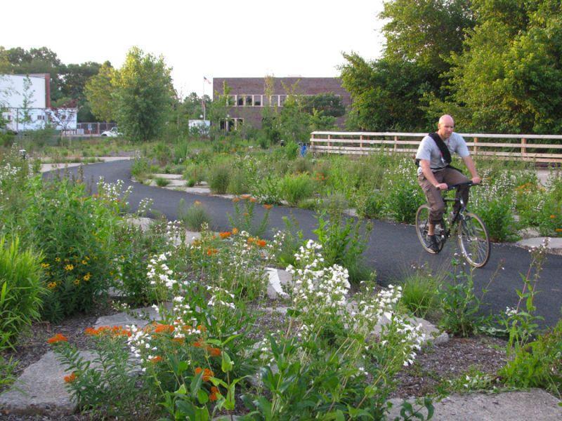 The Decay Garden incorporates old pavement, urban gardens and wetlands, creating