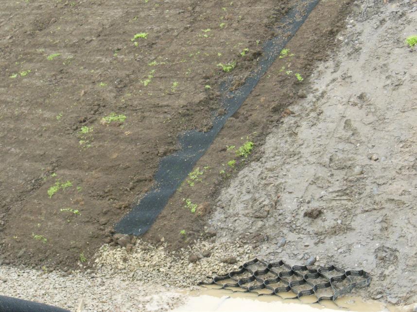forms both an effective erosion control surface and a vegetative root reinforcement layer.