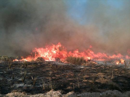 Important Contacts: Preparing for the devastation of wildfire on your ranch can protect your family, property and livelihood.