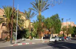Development of a green infrastructure For Ouarzazate, the landscape of the public space is quite heterogeneous: groves of trees along certain avenues and arid areas in the heart of certain districts