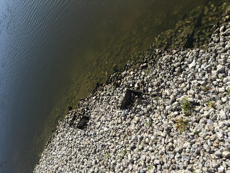 a. Algae, Grass Clippings, Trash in Lakes, Fish Barrier, Trees Along Lake Bank: No issues observed.