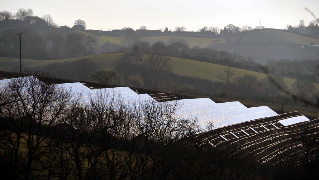Solar PV Development near Strete Raleigh, East Devon (photo credit Andy Leithgoe) iii.