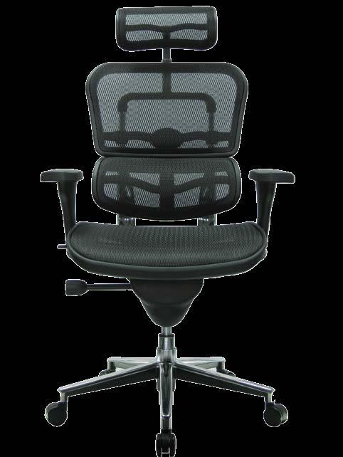 ERGOHUMAN CHAIRS BACK HEIGHT Raise or lower the backrest to support the lumbar (lower back) region of your spine.