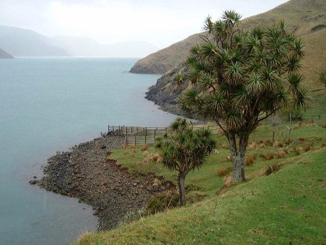 D Urville Island, Marlborough Sounds, 2004. Islands such as D Urville contain many archaeological sites and places and areas of significance to Maori.