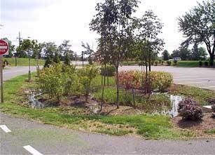 Best Management Practices for SCM Stormwater Control Measures Overgrown or not maintained Rutting due to mowing during wet conditions Scalping and erosion from