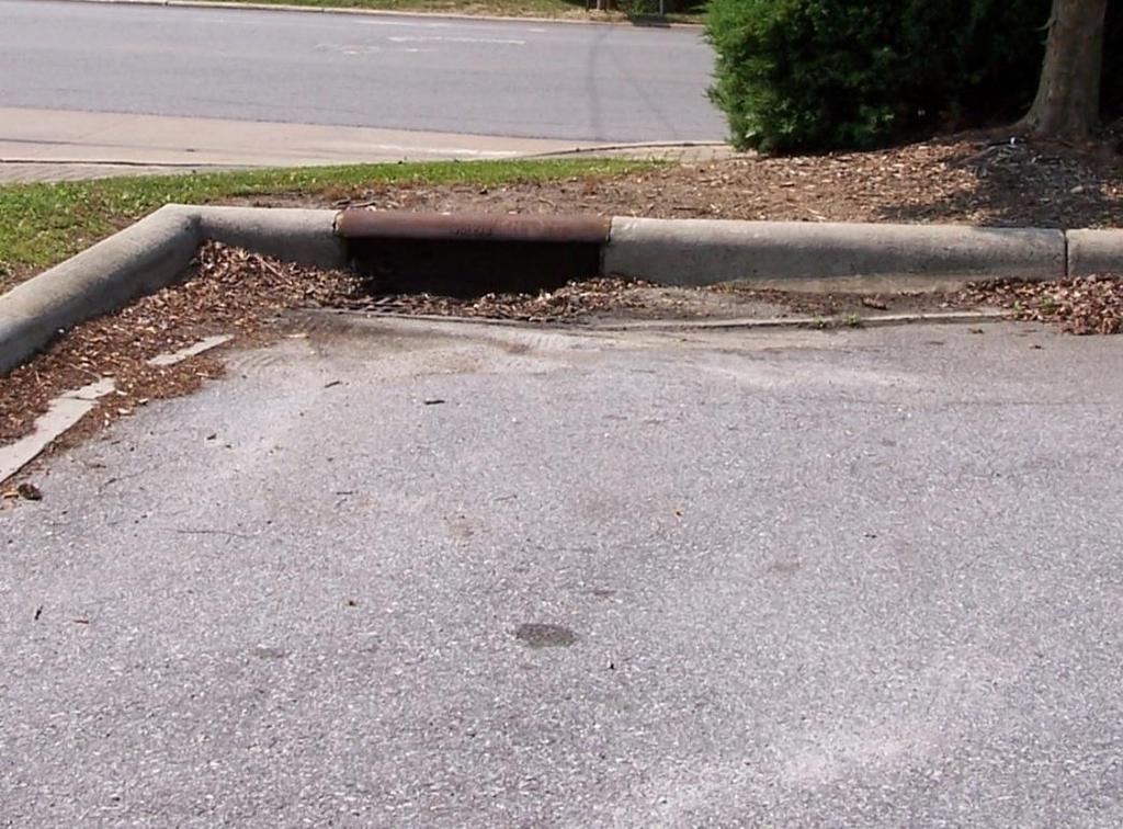 Municipal Separate Stormwater Sewer System (MS4)