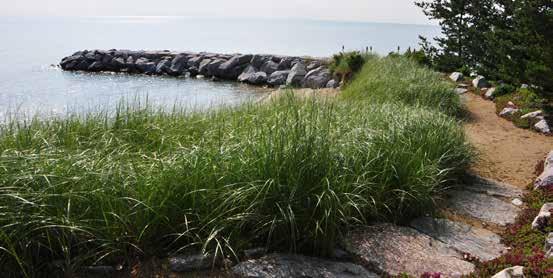 structure; may be eligible for Great Lakes Fishery and Ecosystem Restoration (GLFER) Program funding (US Army Corps of Engineers); requires federal, state, and local permitting New sheet-pile groin