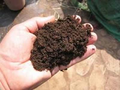 1) Soil Color Black or dark brown soils are usually
