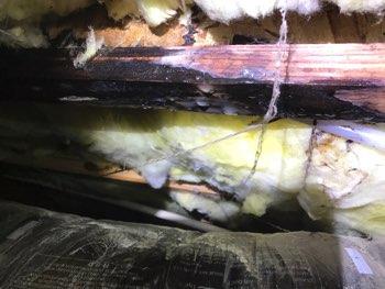 Ducts Ducts appeared securely attached and insulated overall. 8.