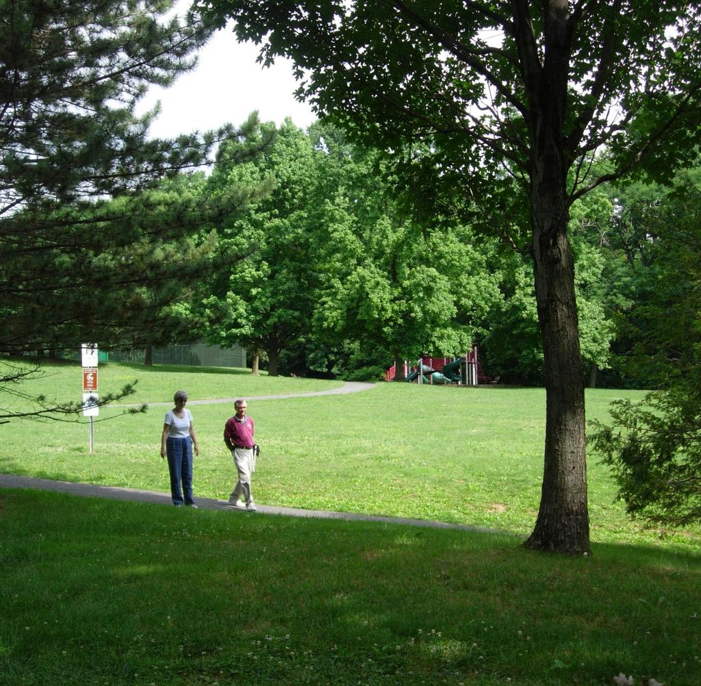 Parks and Open Space Goals Expand the parks and open space network.