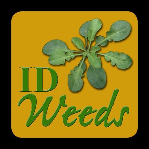 Weed Control Integrated Pest Management (IPM) Identify weed Determine if it s a problem Clover is often thought of as a weed,
