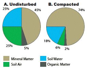 SOIL PROPERTIES Total Score /50 1) List two of the five main functions of soil.