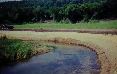 SEEDING OF STREAMBANK Establishing vegetation on streambanks is frequently the simplest way to stabilize the soil and slow erosion.