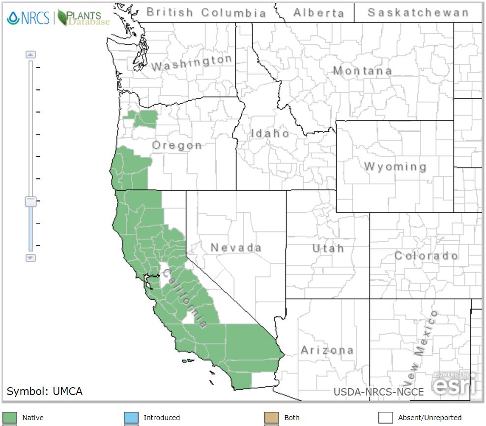 Ecological distribution (USDA NCRS NGCE, n.d.) U. californica occurs west of the Cascades, in a wide range of environments. (Robson et al., 2008, p.