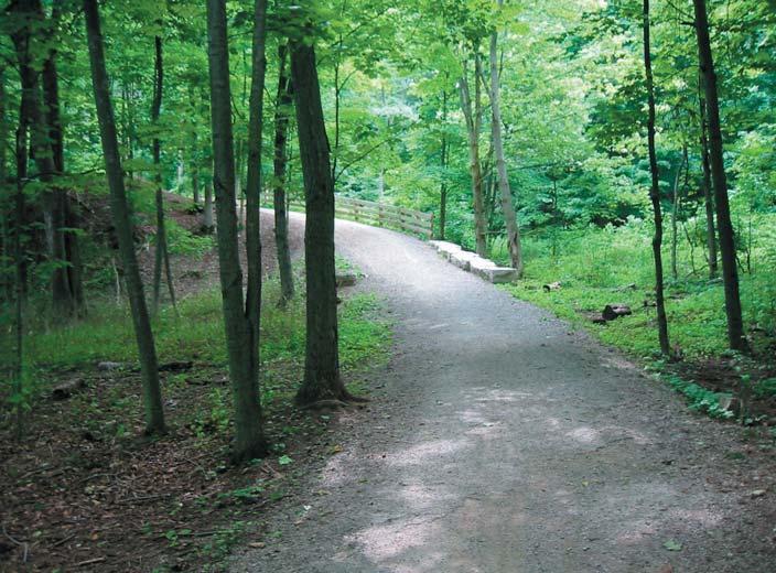 3.5 Recreational Trails The potential to link the primary open space features, including creek valleys, woodlots, hedgerows and specimen trees within Cobourg East Community Secondary Plan Area
