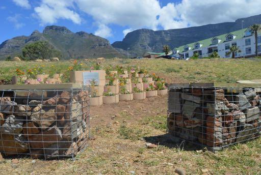 There are also lots of large boulders that add to the ineffectiveness of this land. Bricks of old buildings from District Six also litter the surface.