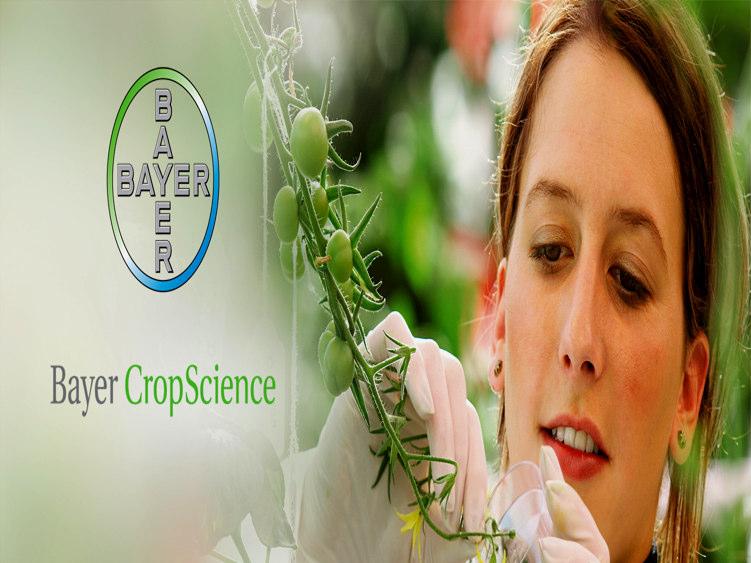 Bayer Product
