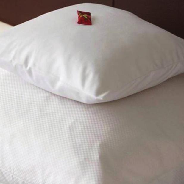 The filling of this pillow is rather special, as it consists of 100% Wellcare polyester fibers treated against bacteria and dust mite, so it s anti-allergenic.