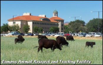 Animals Land Plant Science Research Environment &