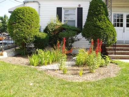 The Mini-Grant Program Recipients must submit a report, photos of the residential rain garden and allow