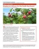 Oregon): Summer-bearers Root Rot resistance/tolerance Cascade Bounty Prelude Cultivars (W.