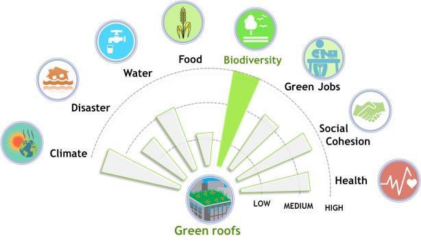 Definition Nature-Based Solutions: economic,