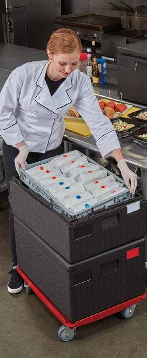 4060 Accessories Camchiller Camchiller (Cold plate) is designed to extend the cold holding time of your food.