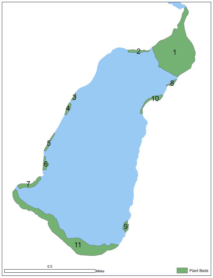 Lewey Lake Figure 52. Plant bed map for Lewey Lake.