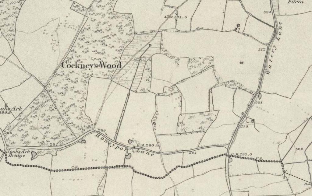 This map from 1896 shows the new railway line and Kemsing station.