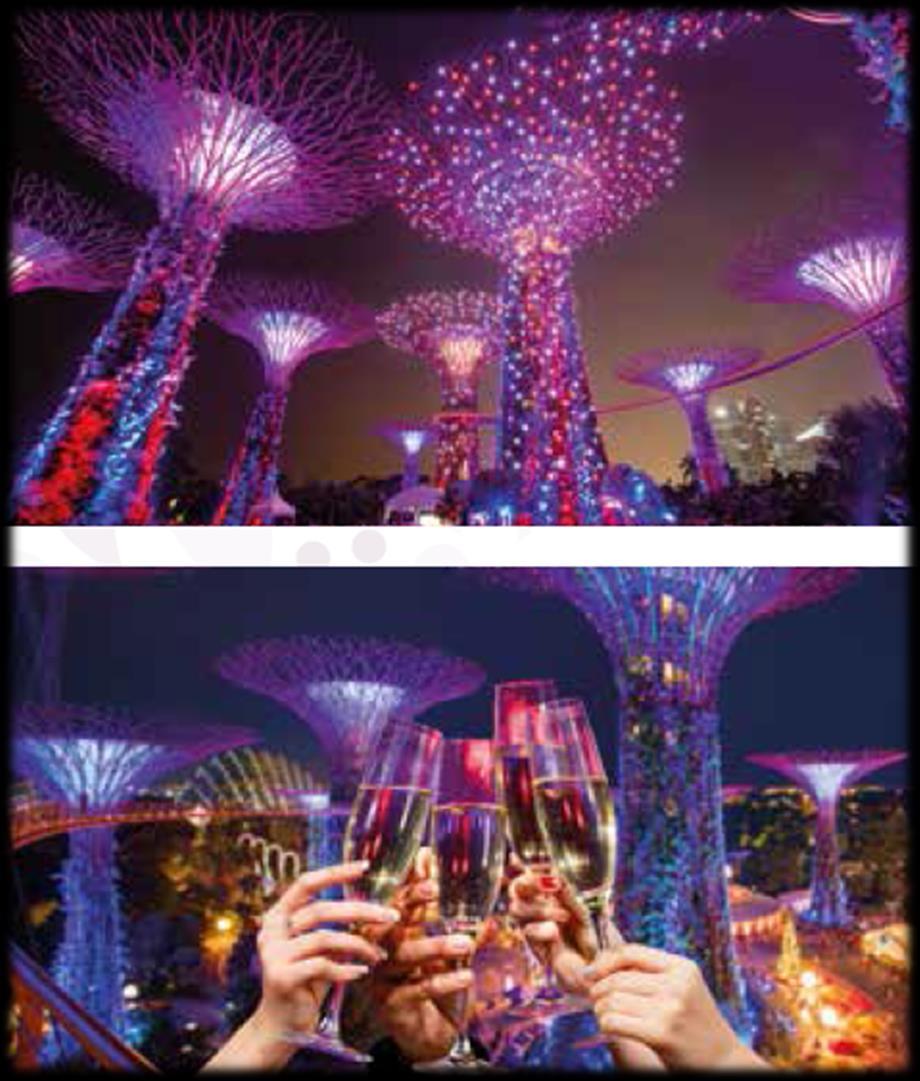Champagne @ OCBC Skyway Arcing across Supertree Grove, OCBC Skyway is an aerial walkway 22